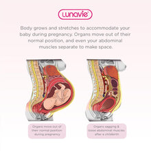 Load image into Gallery viewer, Lunavie Premium Postpartum Abdominal Binder