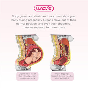 Lunavie Premium Postpartum Abdominal Binder
